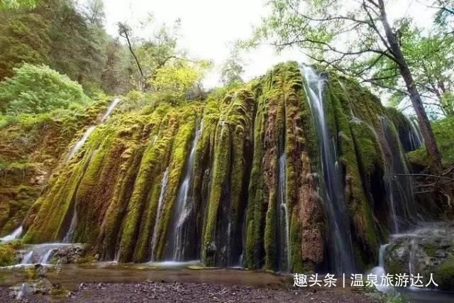 lpl买押注那个app靠谱点的